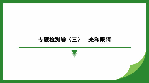  专题检测卷(三)光和眼睛  --2024-2025学年沪粤版物理八年级上学期