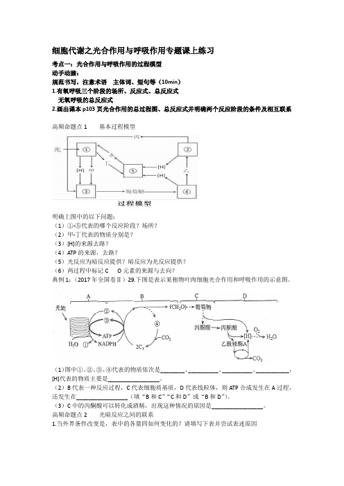 高三生物细胞代谢专题练习