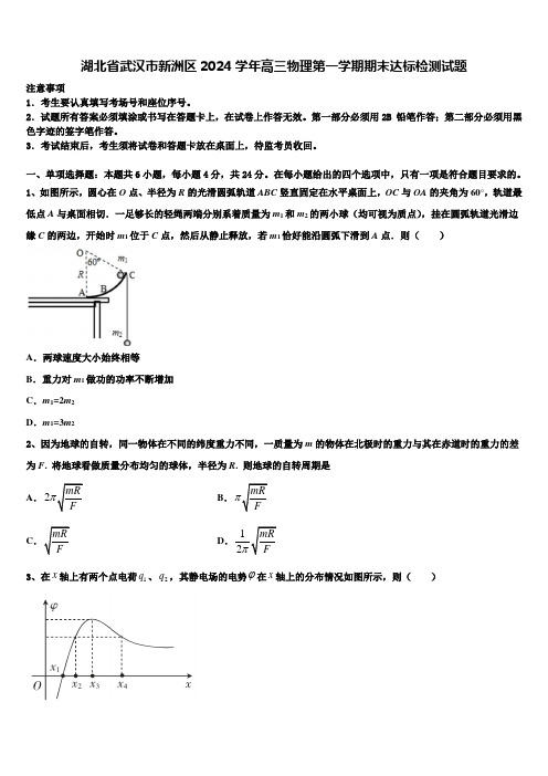 湖北省武汉市新洲区2024学年高三物理第一学期期末达标检测试题含解析