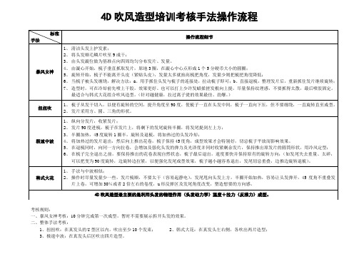 4D吹风造型培训考核手法操作流程