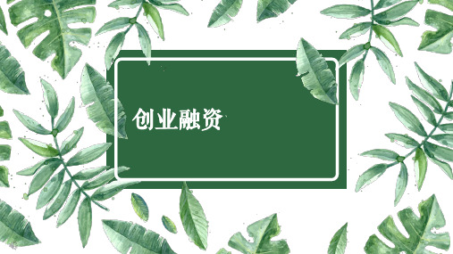 创业法律实务(第3版)课件：创业融资