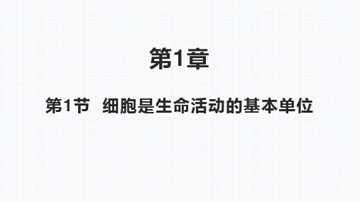 【课件】细胞是生命活动的基本单位课件2022-2023学年高一生物人教版必修1