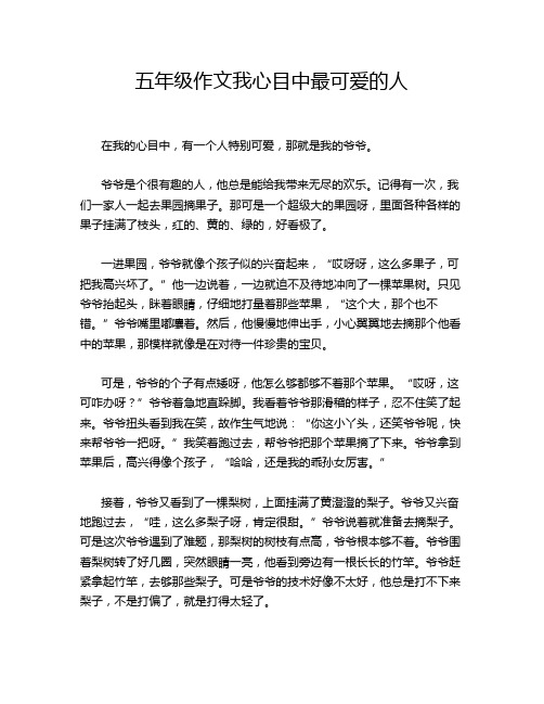 五年级作文我心目中最可爱的人