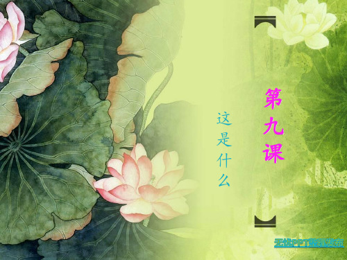 对外汉语一年级教材 看图说话 第九课3