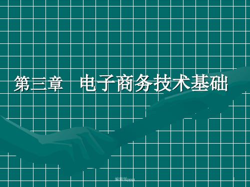 电子商务：第三章 电子商务技术基础ppt课件