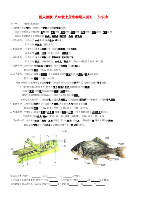 新人教版八年级上册生物 期末复习知识点