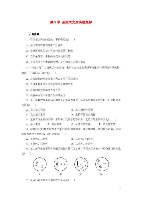高中生物 第五章 基因突变及其他变异精练检测题(含解析)新人教版必修2