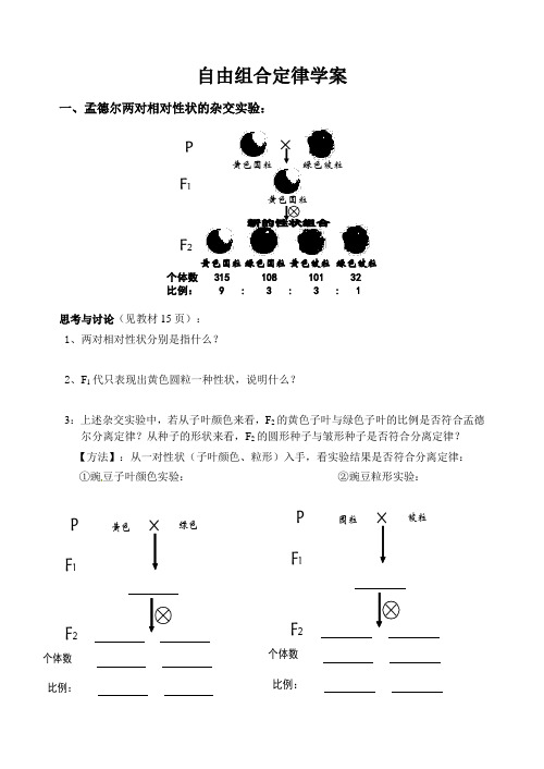 自由组合定律学案