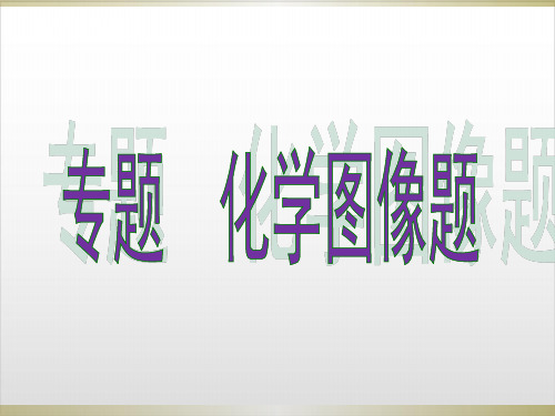 中考化学专题复习-化学图像题PPT优秀课件