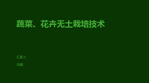 蔬菜、花卉无土栽培技术