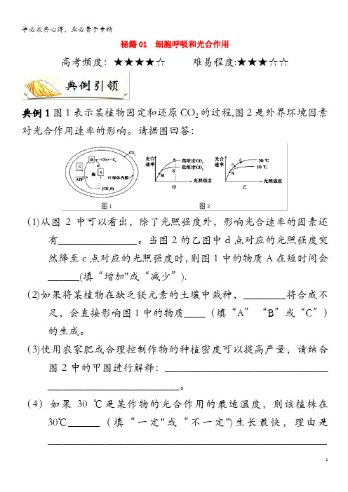 备战2019年高考生物 抢分秘籍01 细胞呼吸和光合作用(含解析)