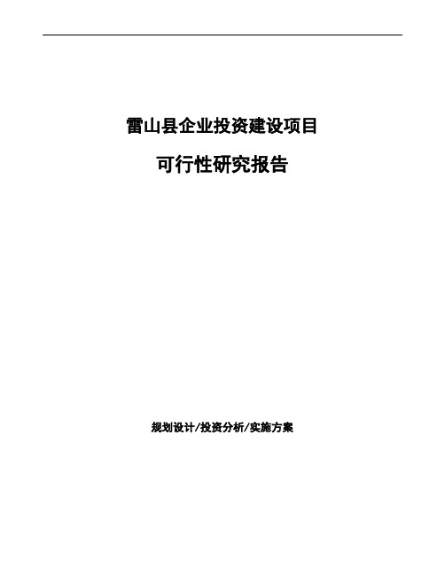 雷山县项目可行性研究报告参考模板