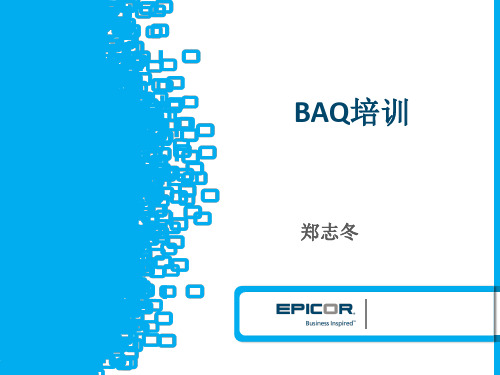 Epicor ERP BAQ操作指南