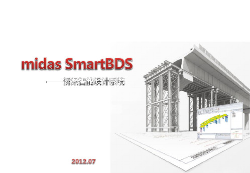 midas SmartBDS软件功能介绍