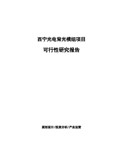 西宁光电背光模组项目可行性研究报告