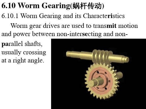 Worm Gearing(蜗杆传动)