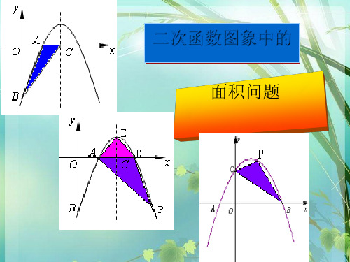 初中数学《二次函数图象中的面积问题》 PPT课件 图文