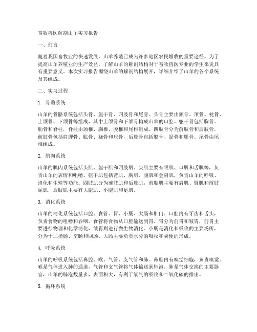 畜牧兽医解剖山羊实习报告