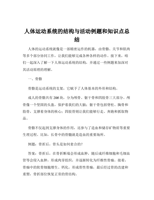 人体运动系统的结构与活动例题和知识点总结