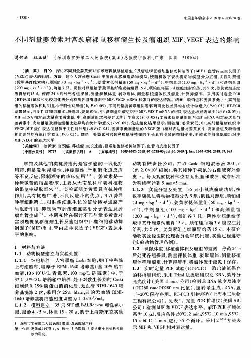 不同剂量姜黄素对宫颈癌裸鼠移植瘤生长及瘤组织MIF、VEGF表达的影响