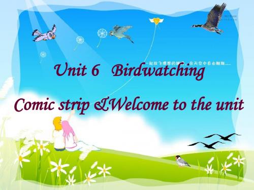 牛津英语8a Unit6Birdwatching  welcome to the unit