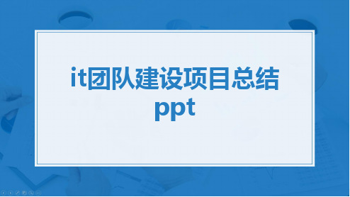 it团队建设项目总结ppt