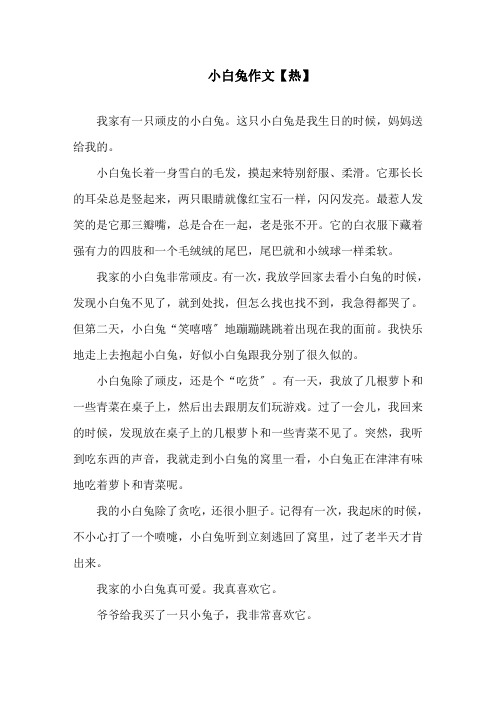 小白兔作文(1)精选