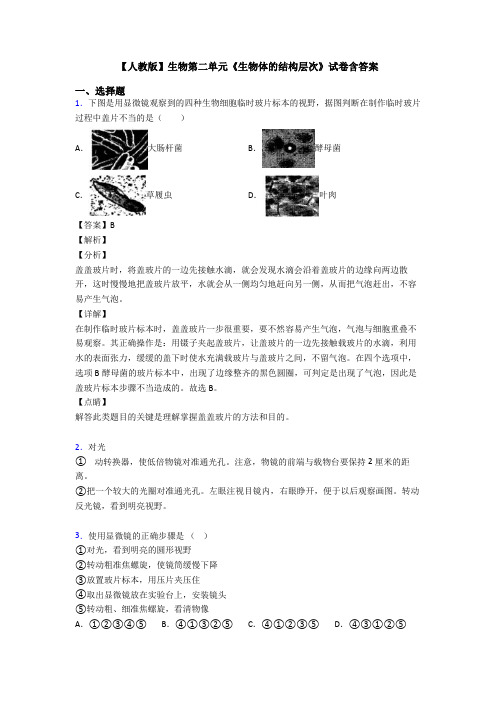 【人教版】生物第二单元《生物体的结构层次》试卷含答案