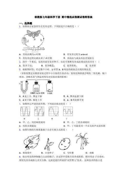 浙教版七年级科学下册 期中精选试卷测试卷附答案