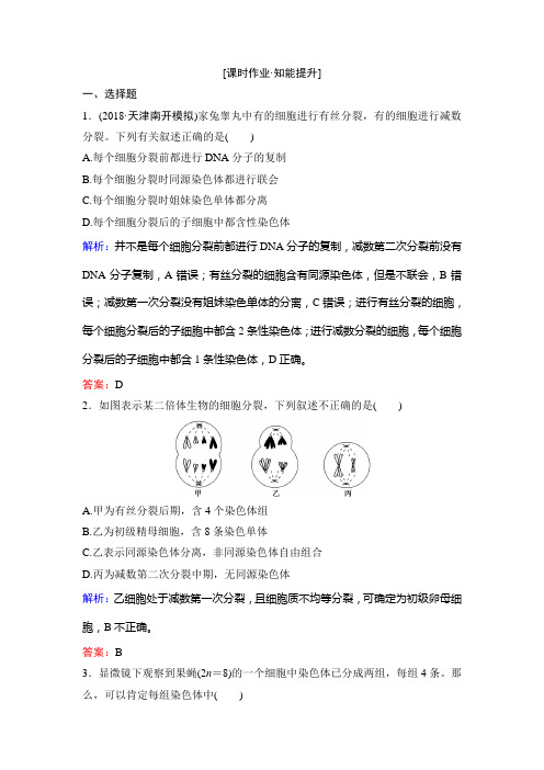 2020新课标高考第一轮总复习  生物  第4单元 细胞的生命历程 课时作业4-2