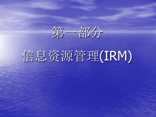信息资源管理(IRM2011)
