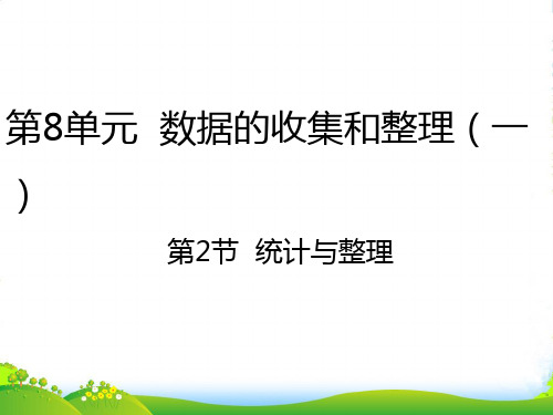 苏教版二年级下册数学课件8.2统计与整理 (共19张PPT)