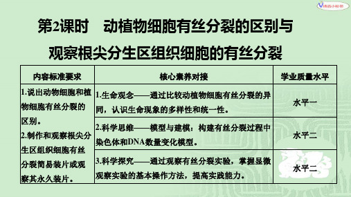 第2课时 动植物细胞有丝分裂的区别与观察根尖分生区组织细胞的有丝分裂