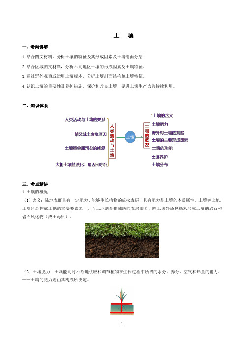 新教材高一地理必修一之 土壤(讲义)