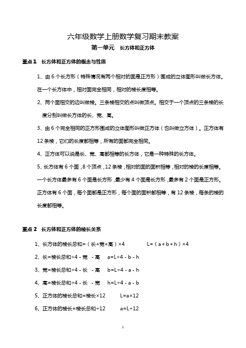 小学六年级上册数学期末复习重点(17页)(教案)