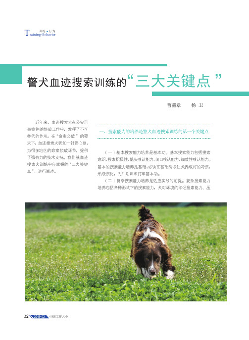 警犬血迹搜索训练的“三大关键点”