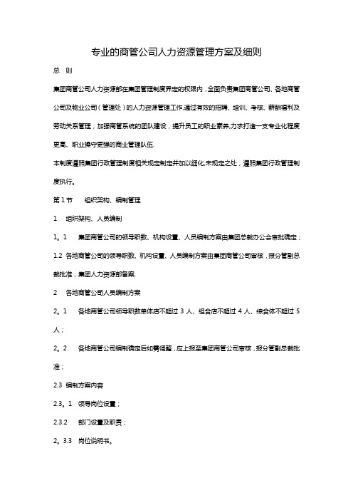 商管公司人力资源管理方案细则