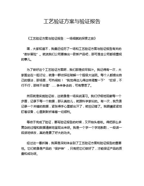 17-工艺验证方案与验证报告