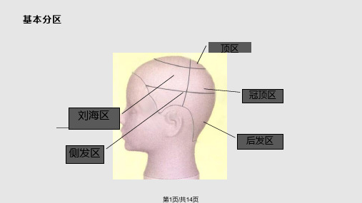 盘发造型分区PPT课件