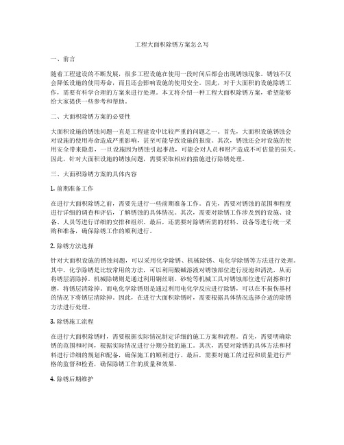 工程大面积除锈方案怎么写