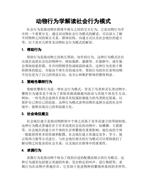 动物行为学解读社会行为模式