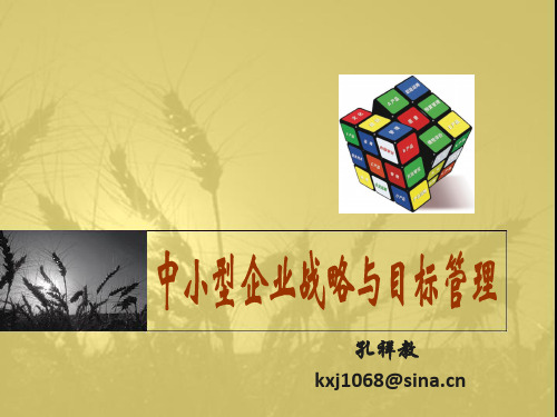 中小型企业战略与目标管理教材(PPT 89页)