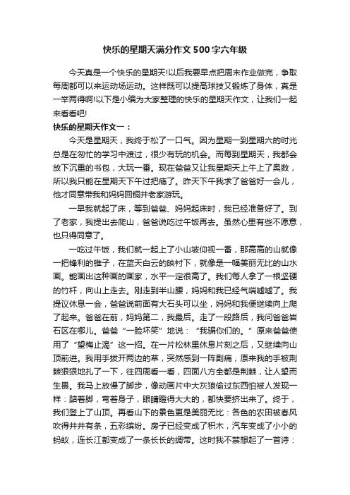 快乐的星期天满分作文500字六年级