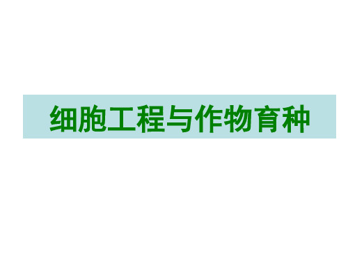 作物育种学：细胞工程与作物育种