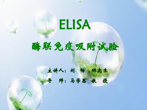 ELISA  原理、方法及操作细节.