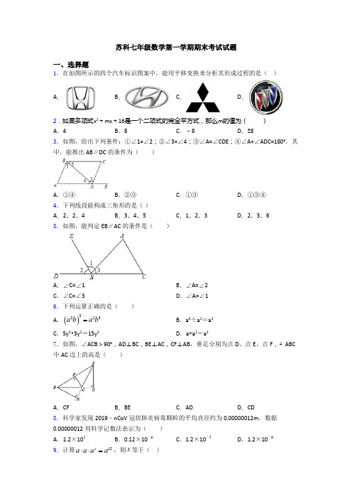 苏科七年级数学第一学期期末考试试题