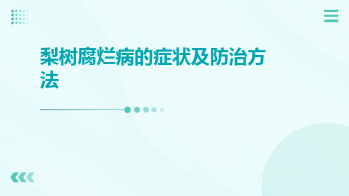 梨树腐烂病的症状及防治方法