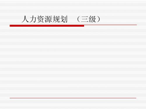 人力资源规划(三级)