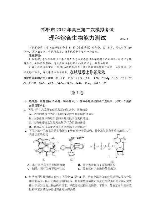 河北省邯郸市2012届高三第二次模拟考试生物试题