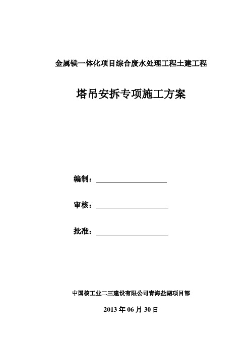 青海盐湖金属镁一体化项目综合废水处理工程塔吊安拆施工方案-修改